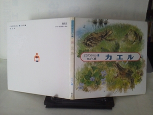 [ free shipping . did ]..... ...8[ frog ] higashi Akira / Kaiseisha / the first version 