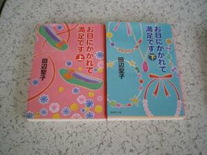 田辺聖子　お目にかかれて満足です　上　下　　集英社文庫　