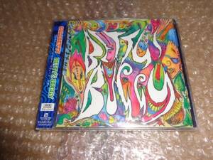 新品CD BETTY’S BUGGY(DVD付) - GOLLBETTY