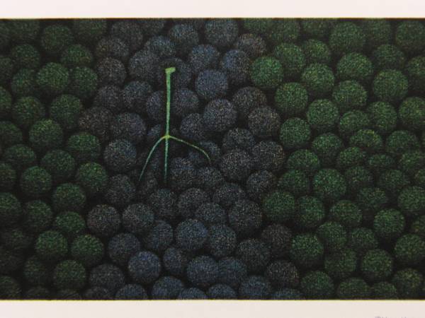 يوزو هاماجوتشي, العنب ذو اللونين, من مجموعة المطبوعات النحاسية والإصدارات المحدودة, تأطير عالي الجودة, تلوين, طلاء زيتي, طبيعة, رسم مناظر طبيعية