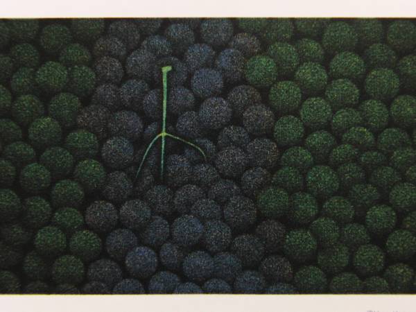 Yozo Hamaguchi, Uvas de dos colores, De la colección Copperplate y impresiones de edición limitada., Encuadre de alta calidad, Cuadro, Pintura al óleo, Naturaleza, Pintura de paisaje