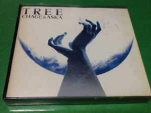 限定1名！入手困難 チャゲ 飛鳥 TREE SAY YES CAT WALK。