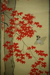 Art hand Auction 【真作】//錦香/紅葉に雀図/布袋屋掛軸HB-817, 絵画, 日本画, 花鳥, 鳥獣