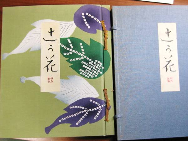 印度ロイヤル錦   /染織と生活社/山辺知行（単行本） 印度ロイヤル錦(山辺知行=監修) / 古本、中古本、古書籍の通販は