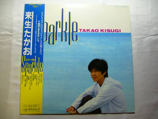 SPARKLE 新品未使用レコード盤　送料込み 2025年最新】sparkle 山下達郎の人気アイテム - メルカリ