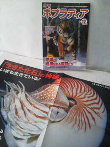 【激レアふろく・化石の神秘大ポスター付き】『月刊ポプラディア2007/12月号』/ポプラ社/送料無料/匿名配送