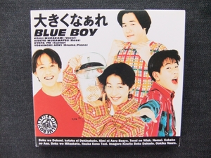 CDアルバム　　BLue　Boy　　大きくなぁれ 　