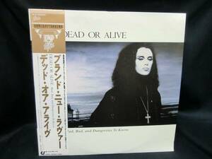 LP Dead or Alive Совершенно новый любовник Оби