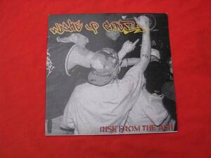 LP・US・10インch◇RISE FROM THE ASH/WAKE UP COLD