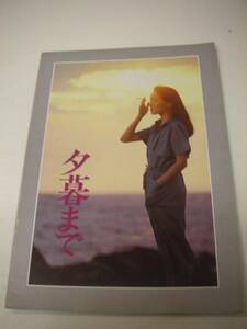 01366桃井かおり原田芳雄『夕暮まで(1980』A4パンフ