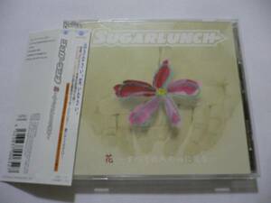 SUGARLUNCH 『花 ～すべての人の心に花を～』 シュガーランチ