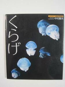 くらげ 　クラゲ 　海月 写真集 　中村庸夫 アスペクト