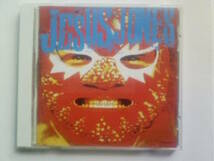 CD JESUS JONES PERVERSE ジーザス・ジョーンズ パーヴァース_画像1