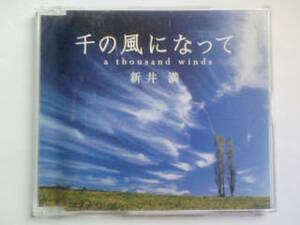 CD 新井満 千の風になって