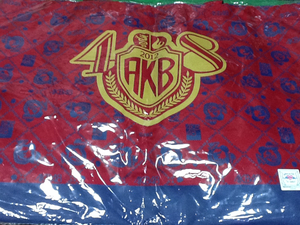 冒険価格！AKB48 2012 未使用 トートバッグ。