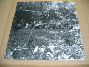 THE EYE DECAY THEORY PORTUGAL LP JONNU BLUE NOY-001 S.Core