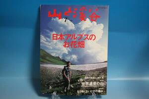 【山と渓谷 2005年7月】中古！即決価格！