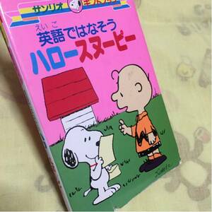  English . is . seems to be Hello Snoopy Sanrio 