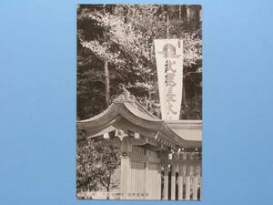 戦前絵葉書 四條畷神社 桜花 満開の桜 大阪 (G62)