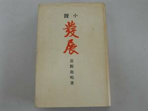 ●小説●発展●岩野泡鳴●復刻版ほるぷ出版●即決