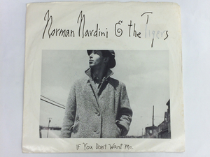 7009/80's/Norman Nardini/If You Don't Want Me/US/白プロモ 