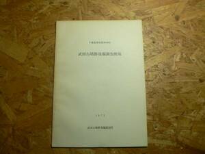 武田古墳群発掘調査概報 千葉県香取群神崎町/千葉県 1972年