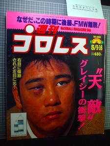 同梱OK◇週刊プロレス668号(1995/5/9・16)山本宜久vsヒクソングレイシー/高田延彦vsベイダー/スティング/エルサムライ/ターザン後藤