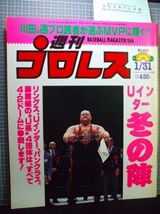 同梱OK◇週刊プロレス653号(1995/1/31)ベイダーvsゲーリーオブライト/サスケ/長与千種/白使/新崎人生/ブル中野/天山広吉/今井良晴