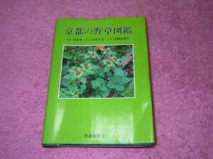  Kyoto. wild grasses illustrated reference book Kyoto newspaper company 
