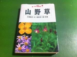 山野草　片桐敬子・文 金田洋一郎・写真