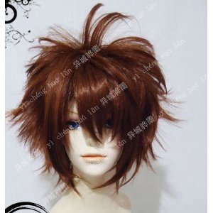 2025年最新】Yahoo!オークション -沢田綱吉 コスの中古品・新品