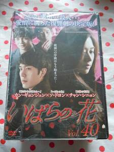 DVD レンタル版 いばらの花 日本語字幕 全40巻