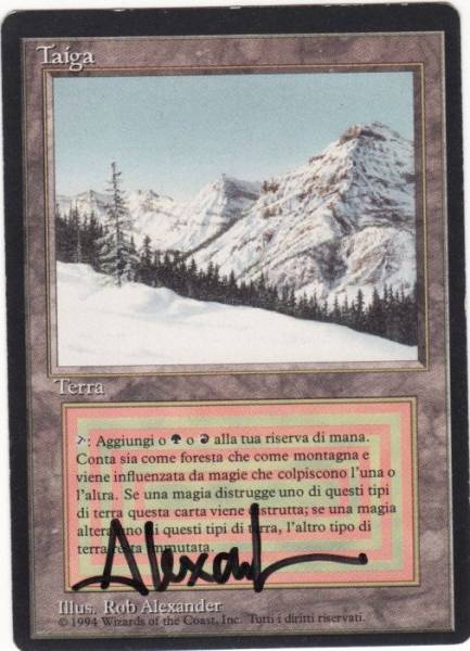 Amazon.co.jp: マジック：ザ・ギャザリング(MTG) シルムガルの
