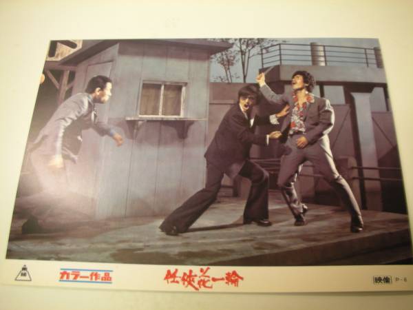 任侠 花一輪 – 映画コレクション・しねとろ倶楽部