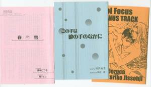 小冊子■３冊■真崎ひかる・池戸裕子（リーフノベルズ2007）