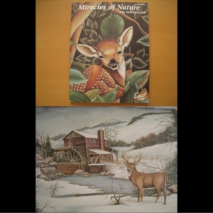 【トールペイント洋書】Miracle of Nature/Jo Hollingsworth/動物/鳥