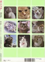 ぬこ【猫の玉手箱】vol.3　猫sukiのバイブル ☆愛ある猫ブログ10_画像2