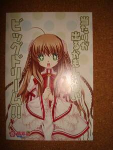 Rewrite ゲーマーズVA購買部2011夏抽選特典ポストカード 小鳥