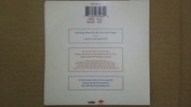 レア!UK盤CDS Candle In The Wind 1997/ELTON JOHN/紙ジャケ_画像2