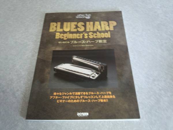 アフターファイブレッスン はじめての ブルースハープ教室