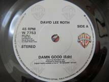 a/限定'7/David Lee Roth（デイヴリーロス）/Damn Good_画像2