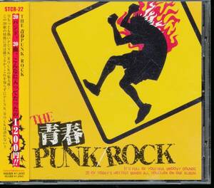 THE青春PUNK/ROCK★マスラヲコミッショナー行方知レズ太陽族