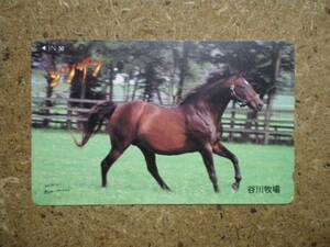I915*sin The n horse racing telephone card 