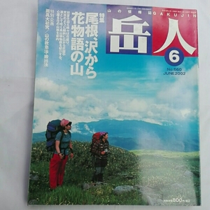 岳人2002年6月尾根、沢から花物語の山　雨具大研究　山の救急法 