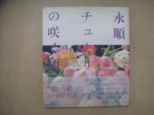 永順・チューリップの咲く頃/　1989-3/　誠文堂新光社 　　P上27