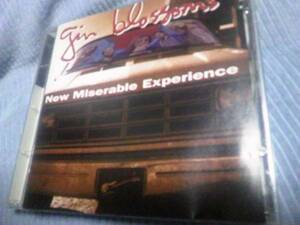 ★☆Gin blossoms/New miserable experience US盤☆★