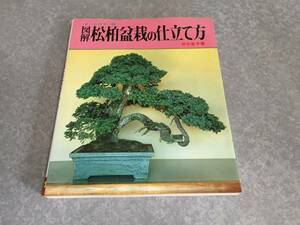  illustration pine Kashiwa bonsai. tailoring person - all color version 