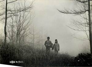 p10248浅丘ルリ子『霧に消えた人(1963』スチル