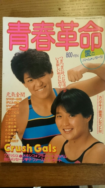 大森ゆかり　全日本プロレス３WAタッグチャンピョン●直筆サイン色紙 Yahoo!オークション - 女子プロレス ライオネス飛鳥 ジャガー