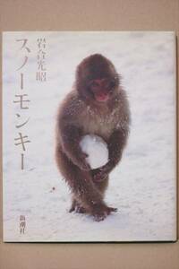 [ snow Monkey ] скала . свет . фотоальбом большой книга